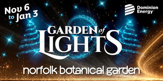 Adult Ticket: Holiday Lights @NBG